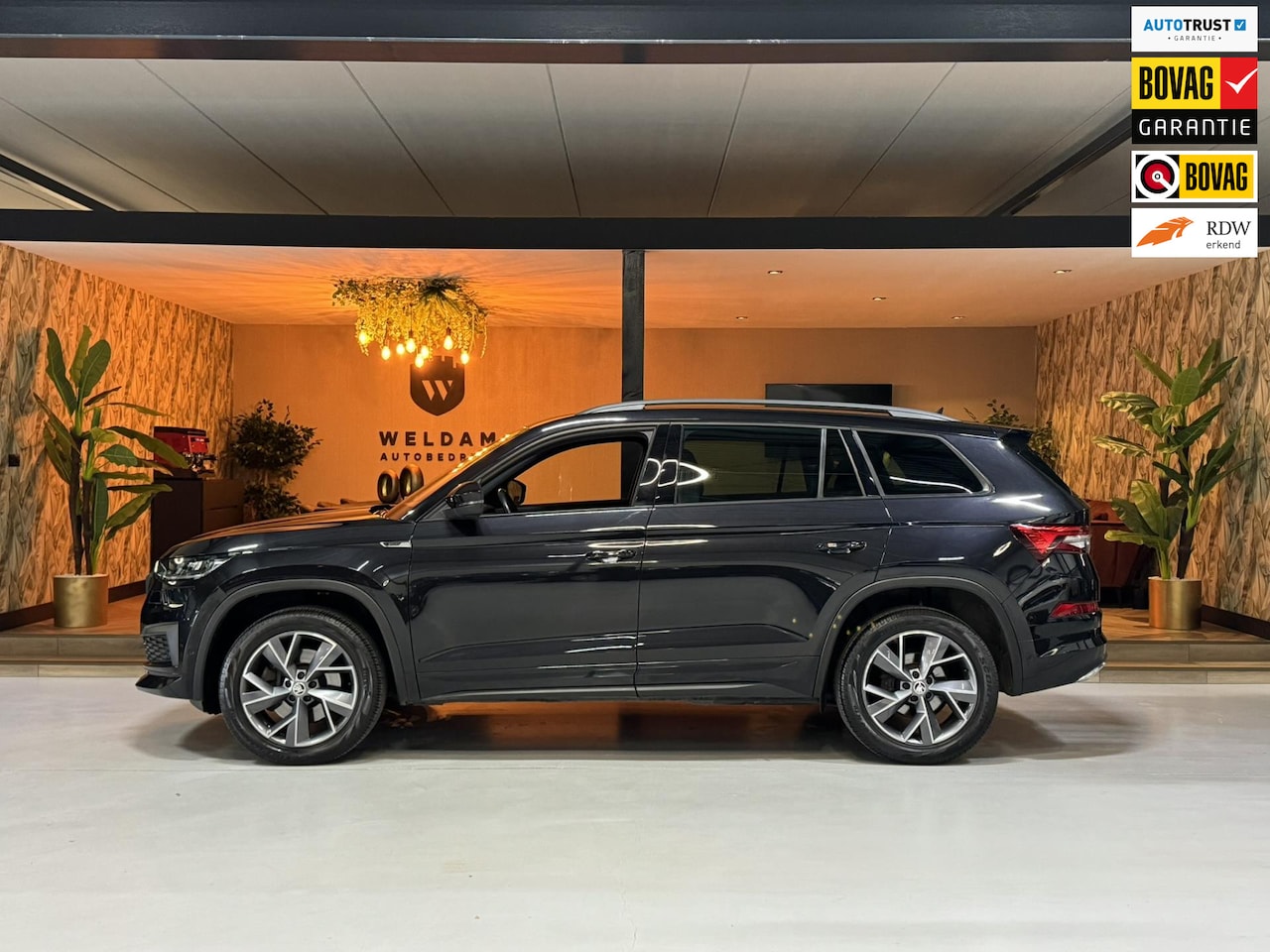 Skoda Kodiaq - 2.0 TSI 4x4 Sportline Business Garantie Facelift StoelVentilatie Leder Camera StoelVW Stuu - AutoWereld.nl
