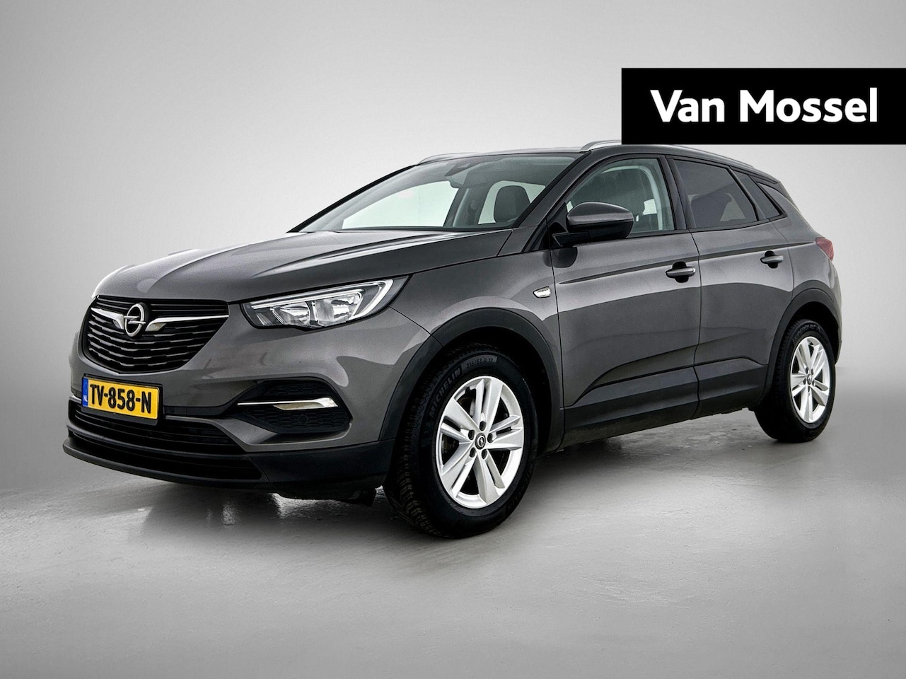 Opel Grandland X - 1.2 Turbo Business + | Trekhaak | Navigatie | Climate control - AutoWereld.nl