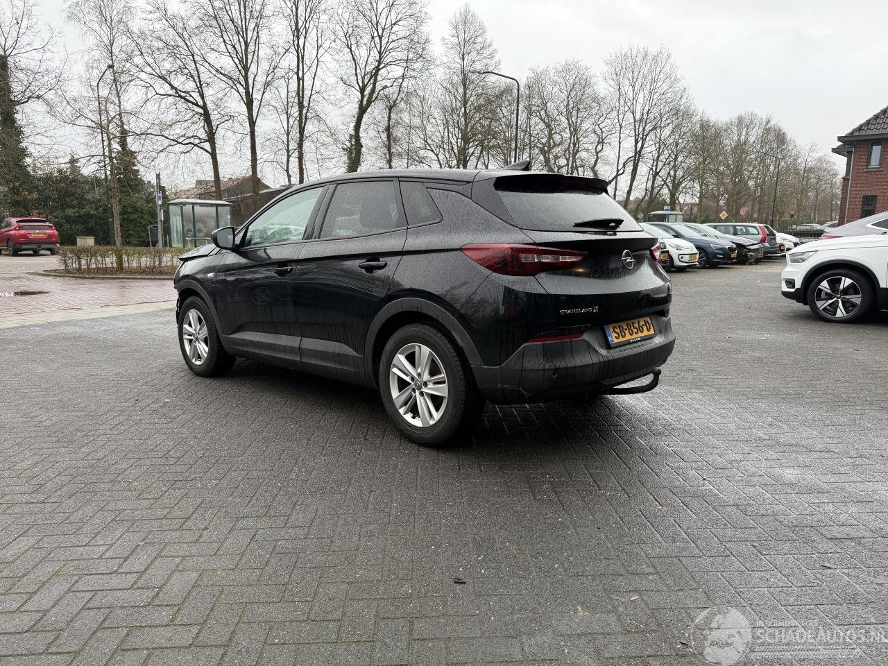Opel Grandland - 1.2 Turbo Online Edition (SUV 5-dr.) - AutoWereld.nl