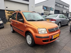 Fiat Panda - 1.2 Edizione Cool