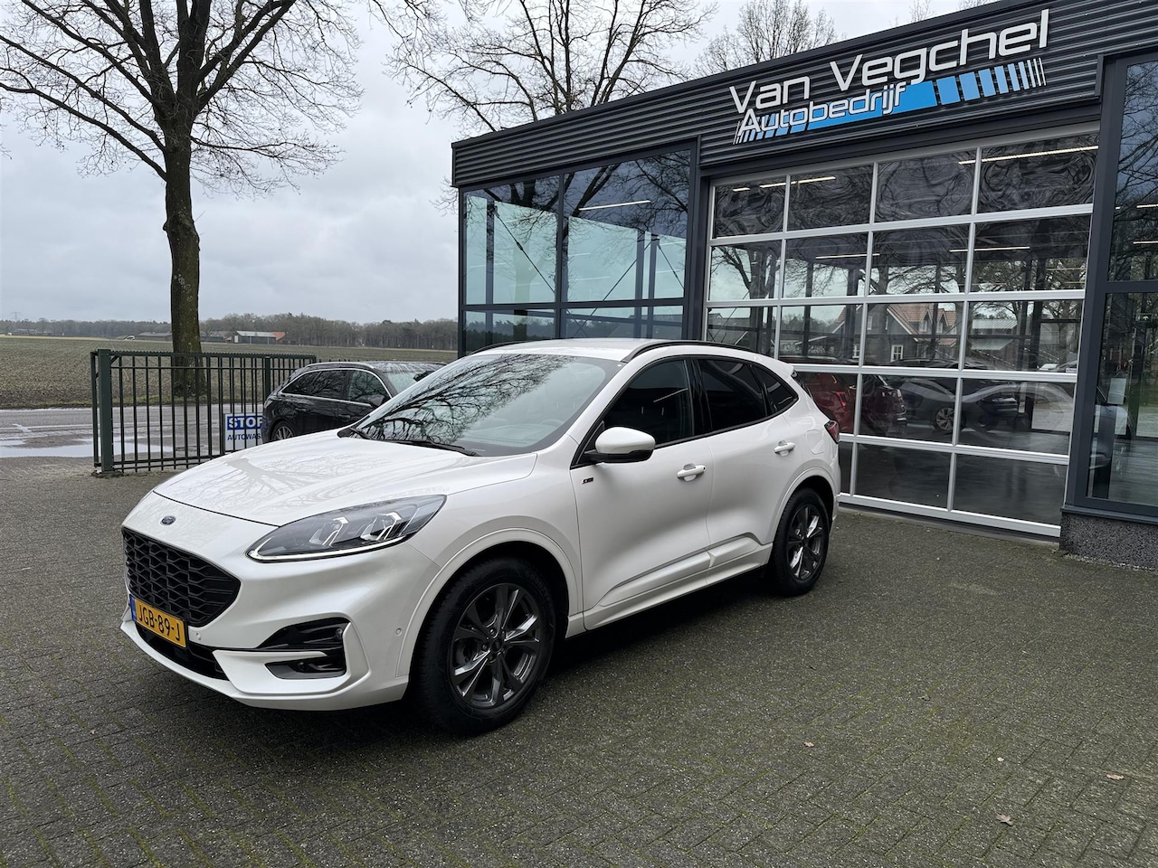 Ford Kuga - 1.5 EcoB. ST-Line X - AutoWereld.nl