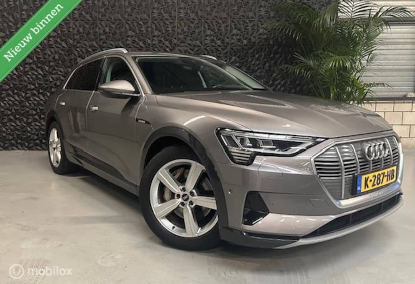 Audi e-tron - 50 Quattro Business edition Plus 91% SOH 71 kWh - AutoWereld.nl