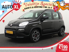 Fiat Panda - 1.0 Hybrid City Life 5-Pers Andriod/Apple Carplay DAB 15'LMV