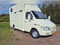 Mercedes-Benz Sprinter - PAARDENWAGEN | HORSETRUCK | WILDEBOER | CLASSIC 3XL | 2003 | AUTOMAAT | 125.905KM | MARGE