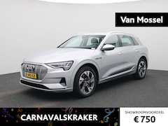 Audi e-tron - 55 quattro Business edition 95 kWh | Trekhaak | Parkeersensoren | Climate Control | Lichtm