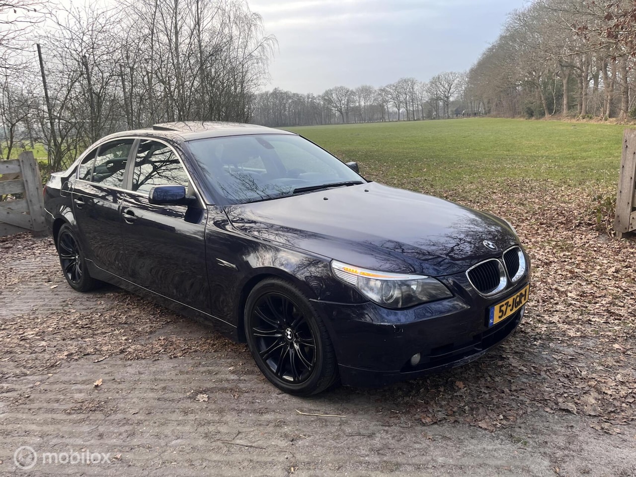 BMW 5-serie - 530d Executive 530d Executive - AutoWereld.nl