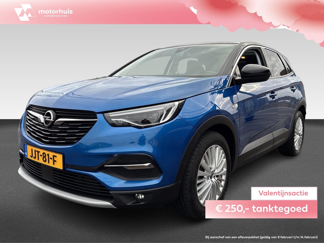 Opel Grandland X - 1.2 Turbo 130pk S&S Automaat Business Executive - AutoWereld.nl