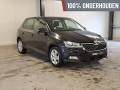 Skoda Fabia - 1.0 Clever (OrgNL/Clima/Navi/Cruise/Carplay/NAP)