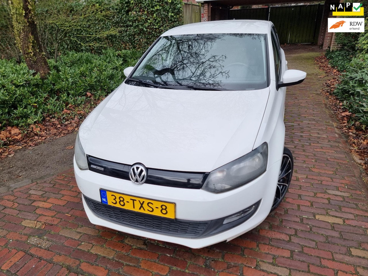 Volkswagen Polo - 1.2 TDI BlueMotion Comfortline Executive 5-Drs - AutoWereld.nl