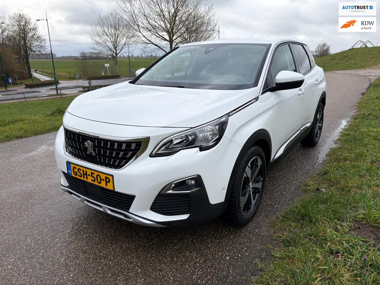 Peugeot 3008 - 1.2 PureTech Allure Trek H. Sfeer Luxe - AutoWereld.nl