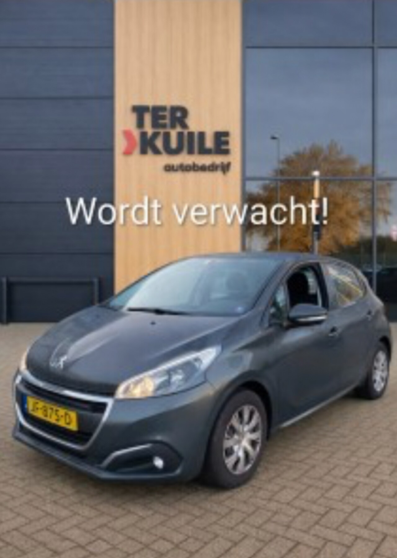 Peugeot 208 - 1.2 PURET. BLUE LION 2016 - AutoWereld.nl
