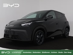 BYD Dolphin Surf - Comfort 43 kWh | Inclusief € 2000, - ACTIE | Nieuw |