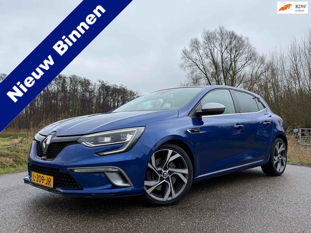 Renault Mégane - 1.6 TCe GT Automaat / BOSE / 4-Control / Leder-Alcantara / Camera / Navi / Clima / 18" Vel - AutoWereld.nl