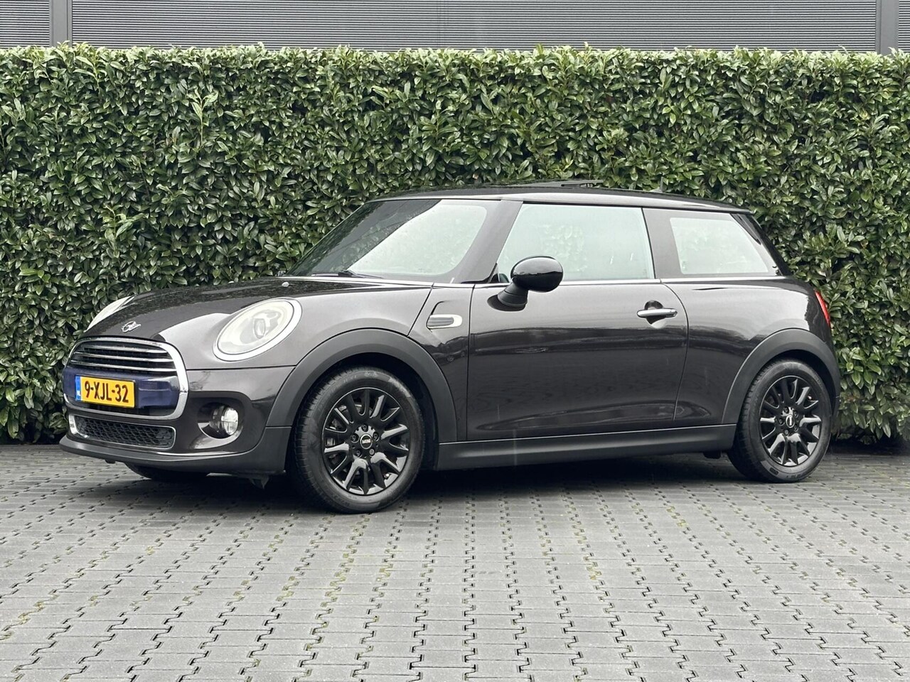 MINI Cooper - Mini 1.5 First Born Edition, NIEUW MODEL, NL AUTO, NAP LOGISCH, PANORAMADAK, CLIMATE CONTR - AutoWereld.nl