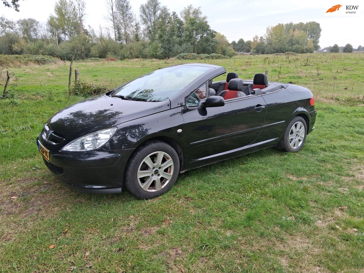 Peugeot 307 CC - 2.0-16V 2.0-16V - AutoWereld.nl