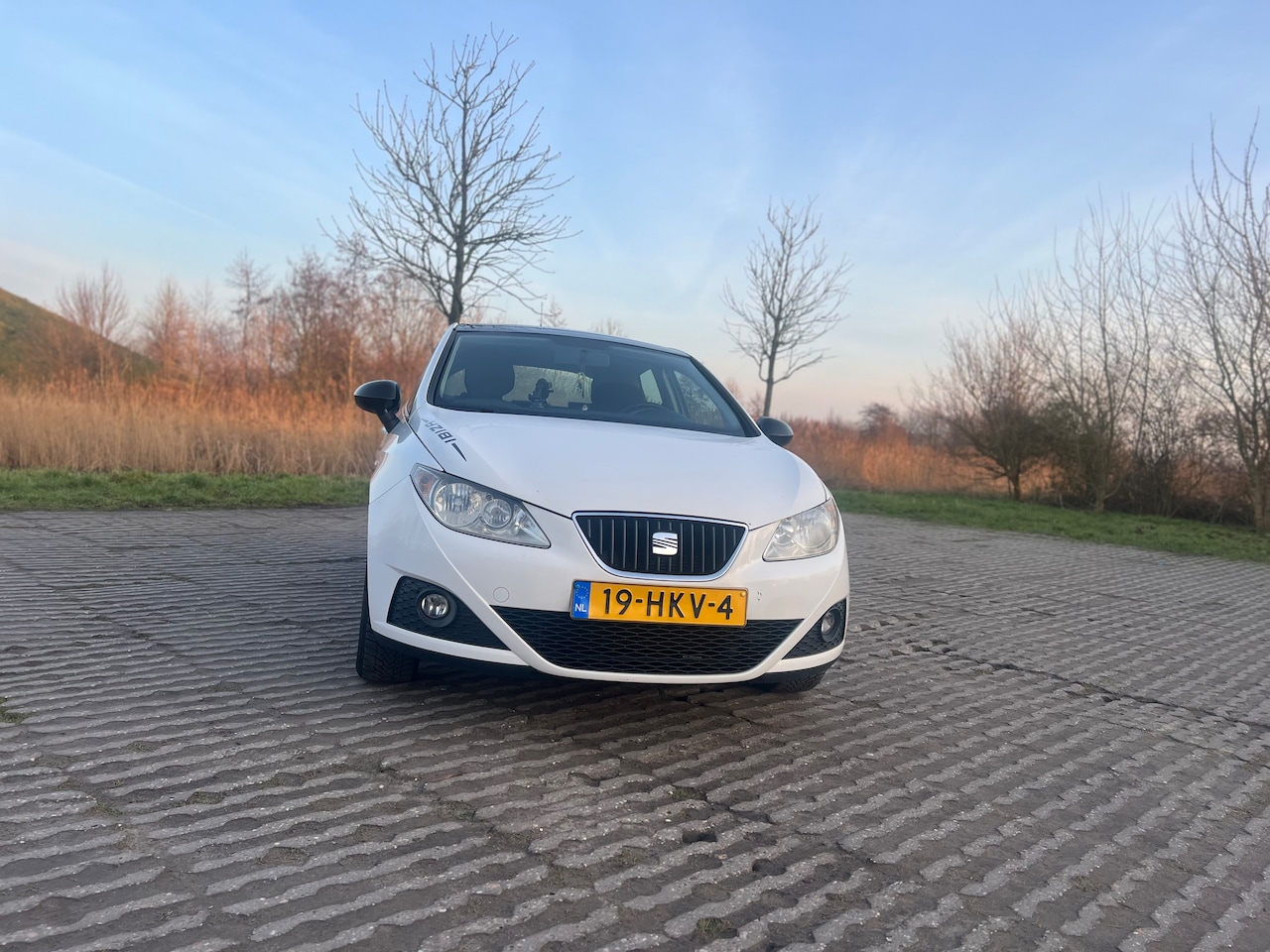 SEAT Ibiza - 1.4 Sport-up - AutoWereld.nl