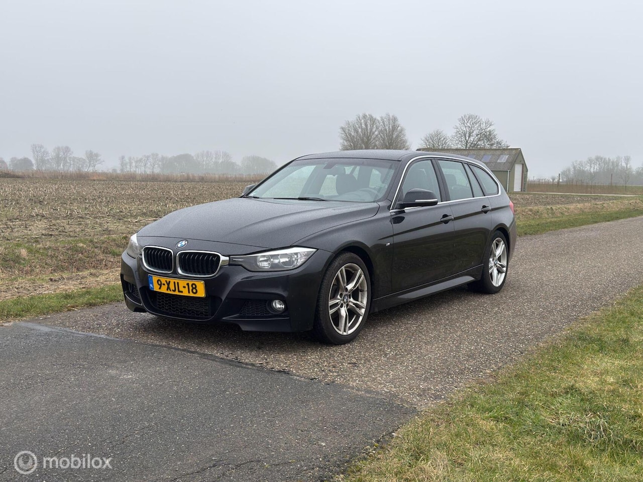 BMW 3-serie Touring - 316i Executive Automaat 2014 - AutoWereld.nl