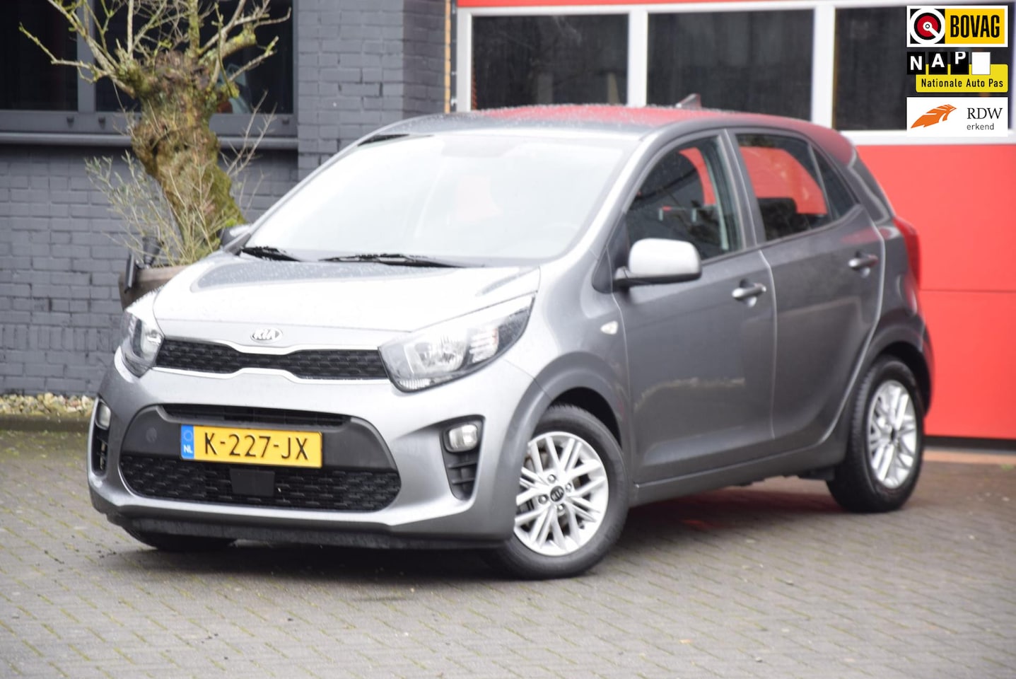Kia Picanto - 1.0 DPi DynamicLine 2021 carplay navi Camera - AutoWereld.nl