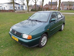 Volkswagen Polo - 2-3-2027 a p k