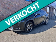 Lexus UX - 250h Executive Line Camera PDC