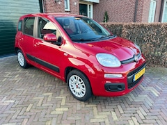 Fiat Panda - 1.2 Edizione Cool