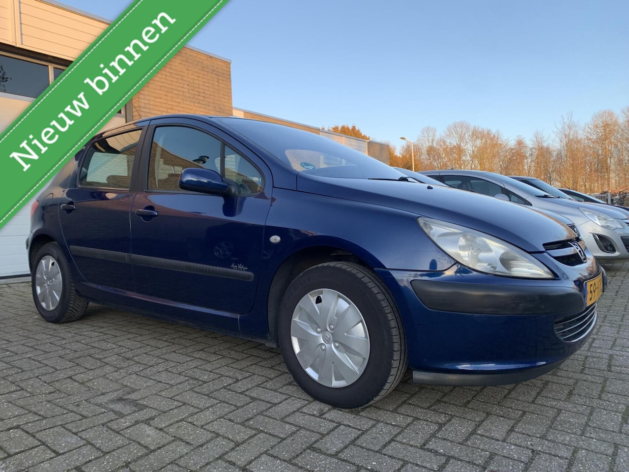 Peugeot 307 - 1.6-16V Gentry 5DR Automaat Airco Trekhaak Elektrisch pakket - AutoWereld.nl