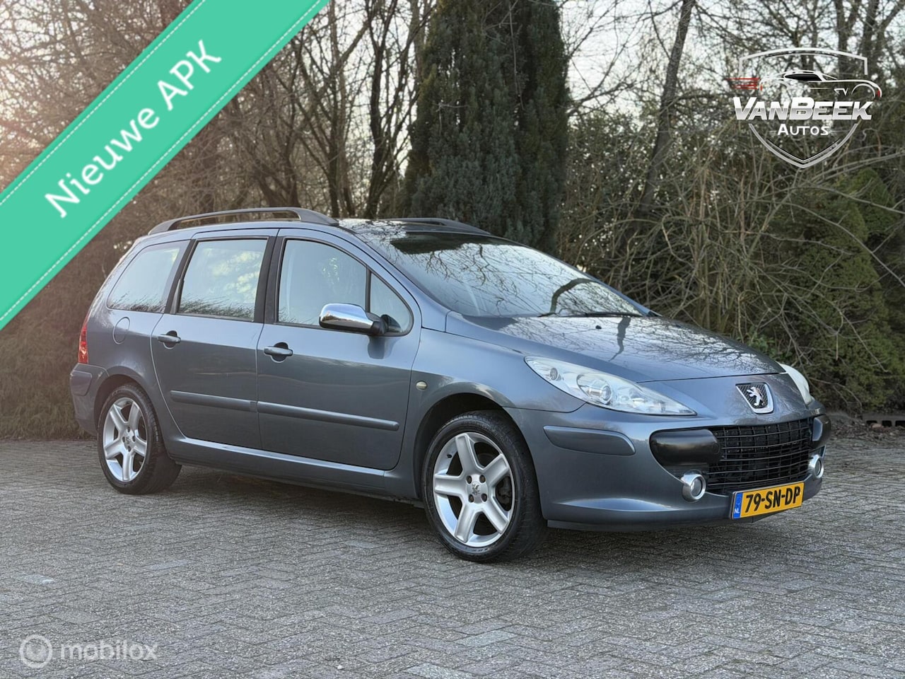 Peugeot 307 Break - 1.6-16V XS 1.6-16V XS - AutoWereld.nl