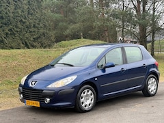 Peugeot 307 - Zeer Nette 1.6-16V XT AUTOMAAT | Nieuwe APK |NAP