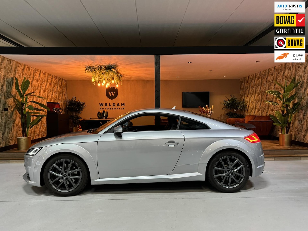 Audi TT - 40 TFSI Sport Garantie Camera StoelVW Xenon Navi Led Dab Cruise Clima PDC Rijklaar - AutoWereld.nl