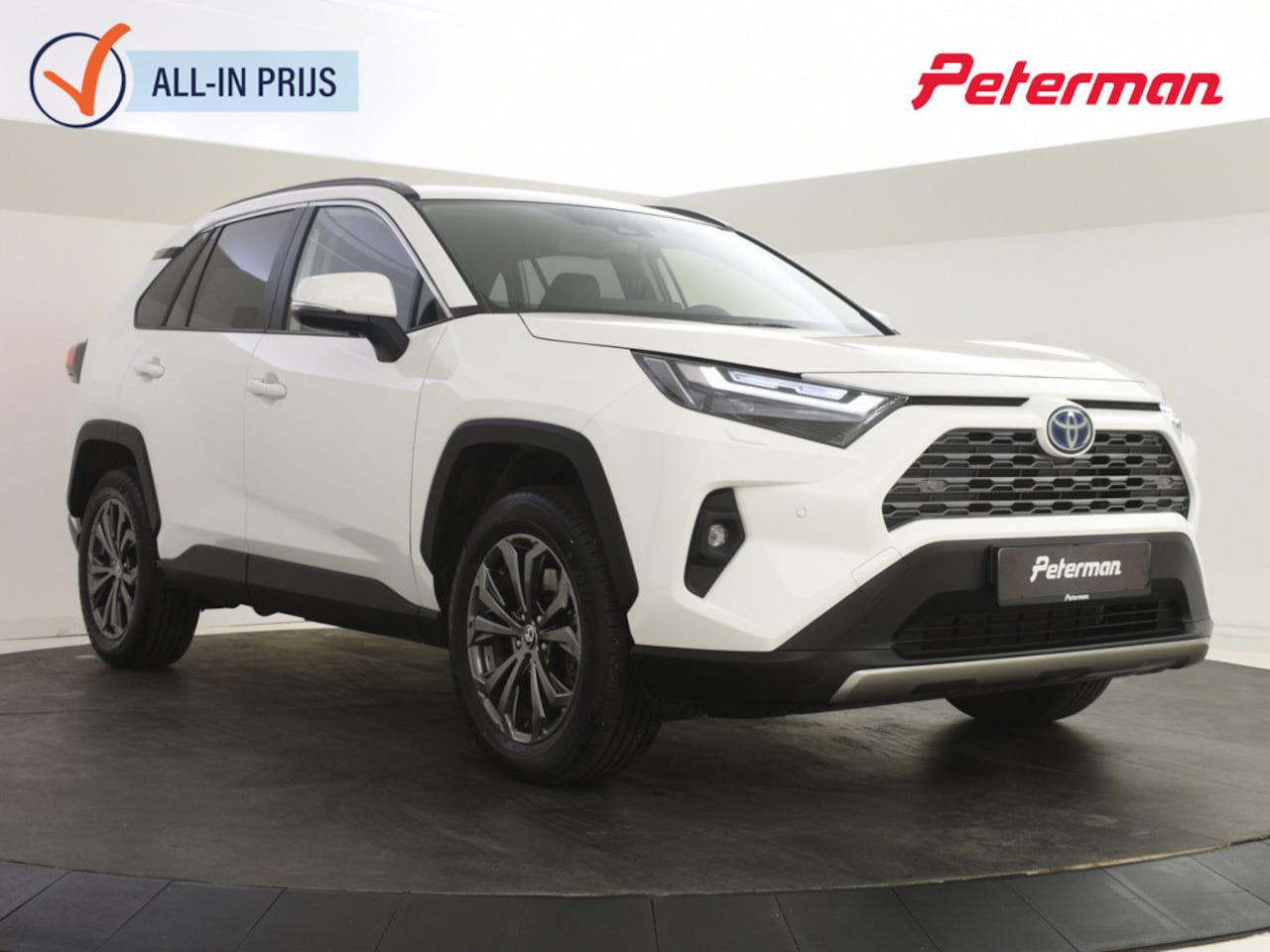 Toyota RAV4 - 2.5 Hybrid AWD Executive | Trekhaak | JBL | Memory | - AutoWereld.nl