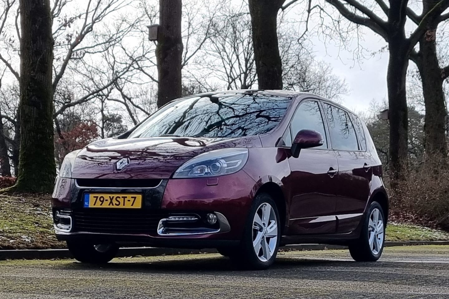 Renault Scénic - 1.4 TCe Dynamique 1.4 TCe Dynamique, Origineel NL, Xenon, Camera, Trekhaak, Half leder, Navigatie, PDC, Blue - AutoWereld.nl