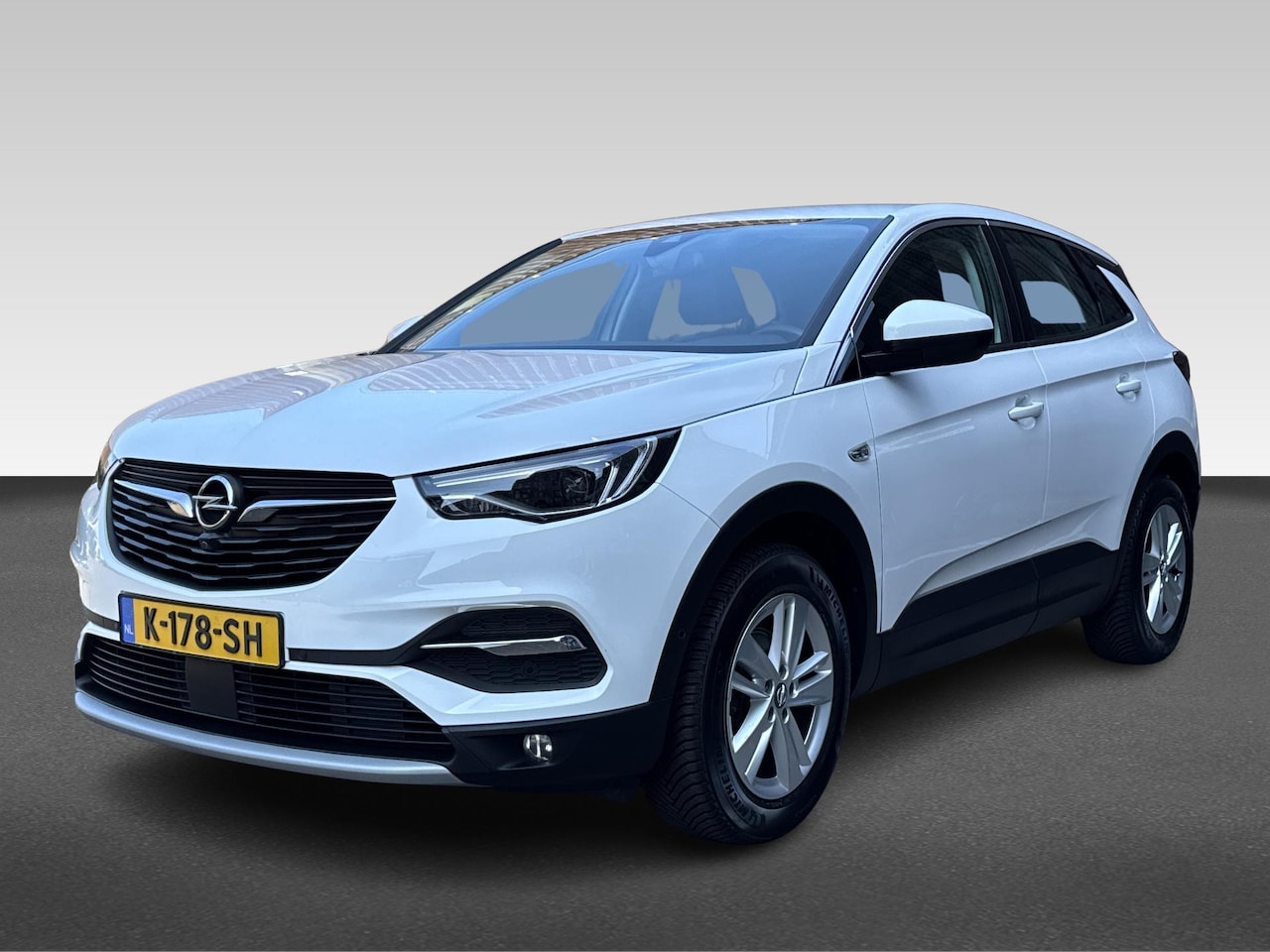 Opel Grandland X - 1.2 TURBO 130PK BUSINESS ELEGANCE NAVI PDC TEL FULL LED CAMERA NAP - AutoWereld.nl