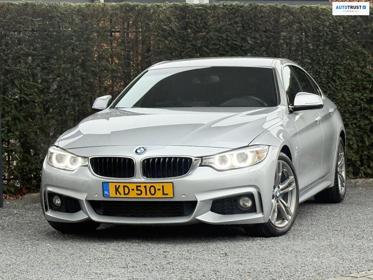 BMW 4-serie Gran Coupé - 420i Executive/AUTO.M/RIJKLAAR! - AutoWereld.nl