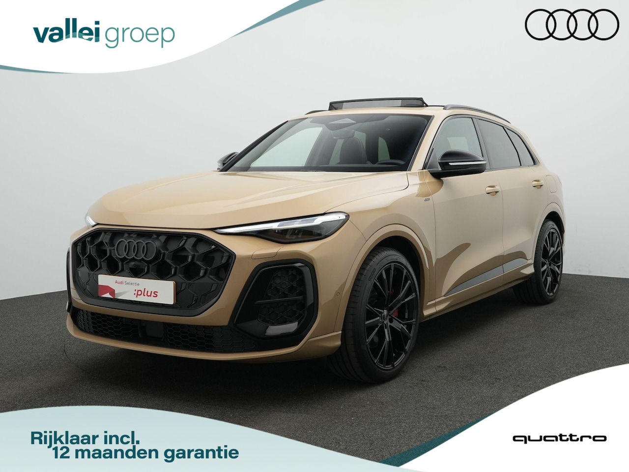 Audi Q5 - 2.0 TFSI e-hybrid Quattro S edition Competition / S-Line | Panoramadak | Trekhaak | Luchtv - AutoWereld.nl