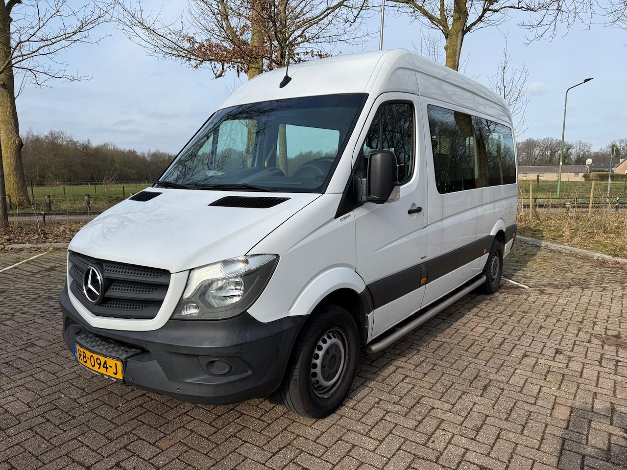 Mercedes-Benz Sprinter - 314 2.2 CDI 366 Aut, 9p, rolstoel vv - AutoWereld.nl