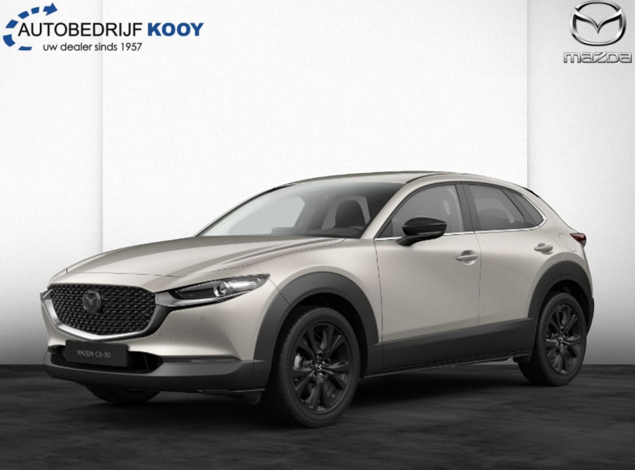 Mazda CX-30 - 2.5 eSkyActiv-G Homura - AutoWereld.nl