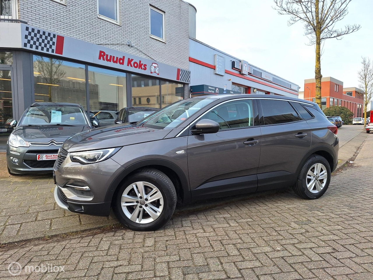 Opel Grandland X - 1.2 Turbo Business Executive 1.2 TURBO BUSINESS EXECUTIVE - AutoWereld.nl