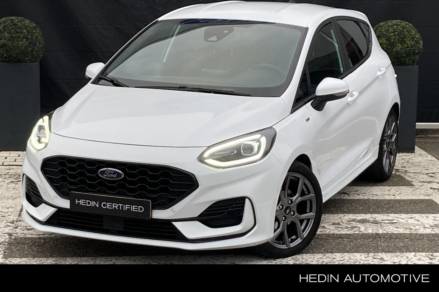Ford Fiesta - 1.0 EcoBoost Hybrid ST-Line X | Winter pack | Achteruitcamera - AutoWereld.nl