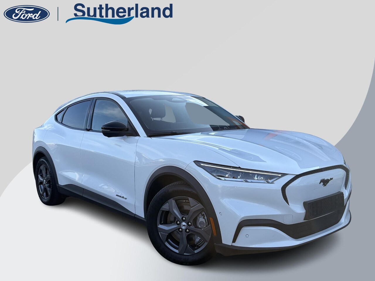 Ford Mustang Mach-E - RWD 75 kWh 269pk | Technology Pack + | Adaptieve cruise | - AutoWereld.nl