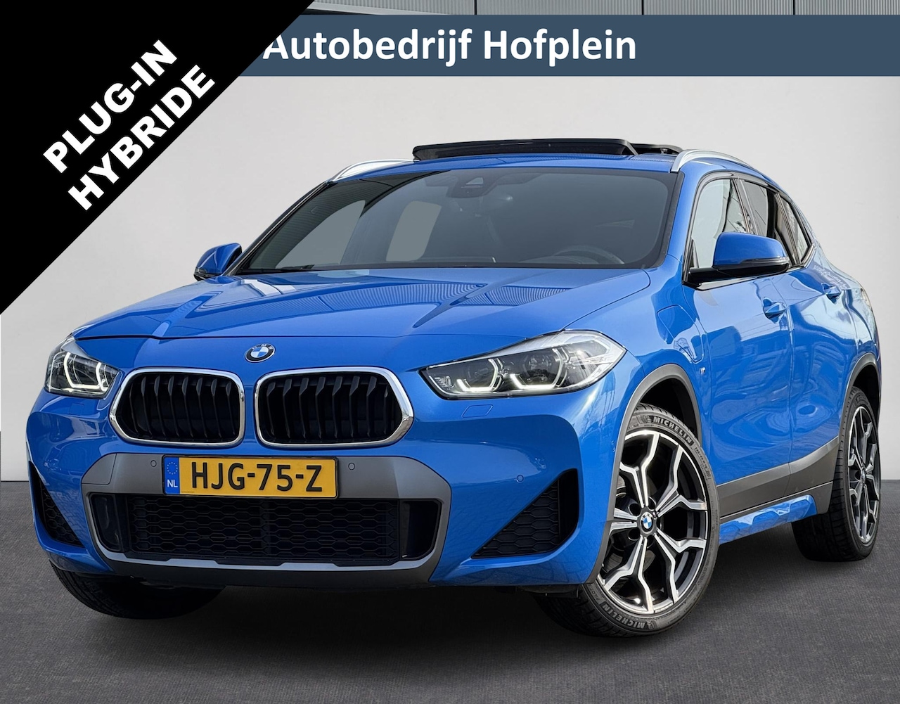 BMW X2 - xDrive25e High Executive Automaat |M Pakket | Panodak | HK | Elektr Stoelen | Leer | ACC ( - AutoWereld.nl