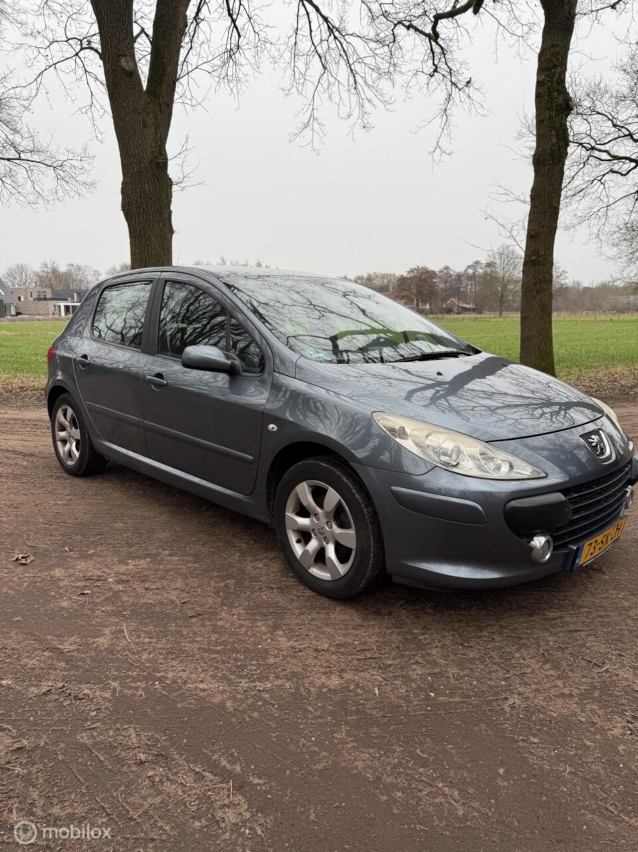 Peugeot 307 - 2.0-16V XS 2.0-16V XS - AutoWereld.nl
