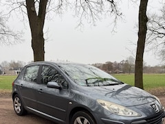 Peugeot 307 - 2.0-16V XS