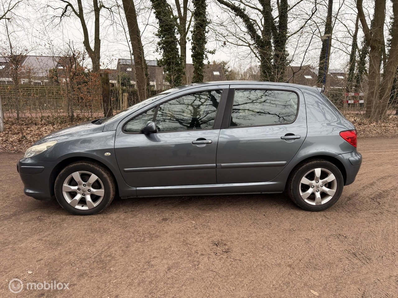 Peugeot 307 - 2.0-16V XS 2.0-16V XS - AutoWereld.nl