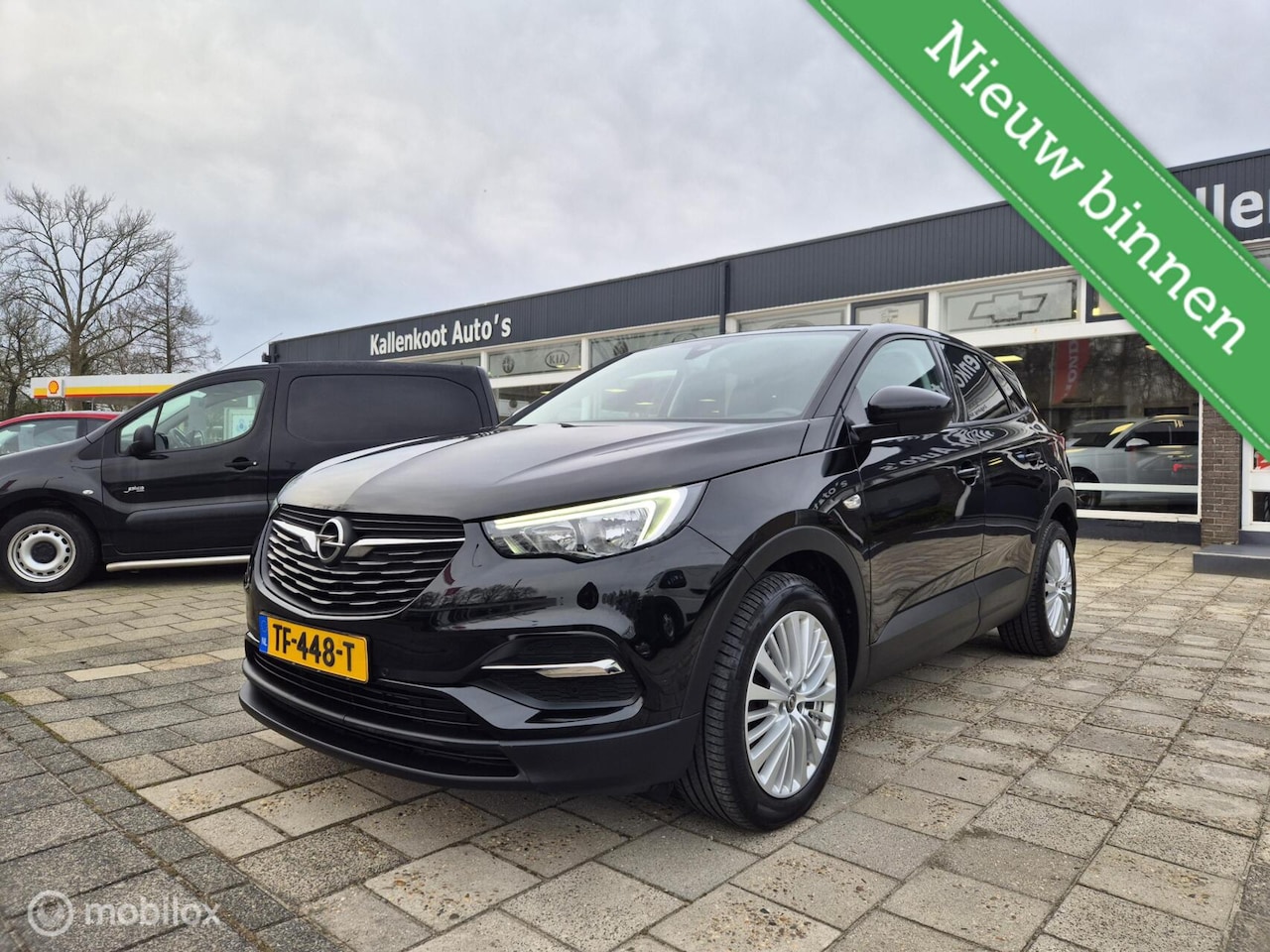 Opel Grandland X - 1.2 Turbo Online Edition 1.2 Turbo Online Edition, D-Riem vervangen! - AutoWereld.nl