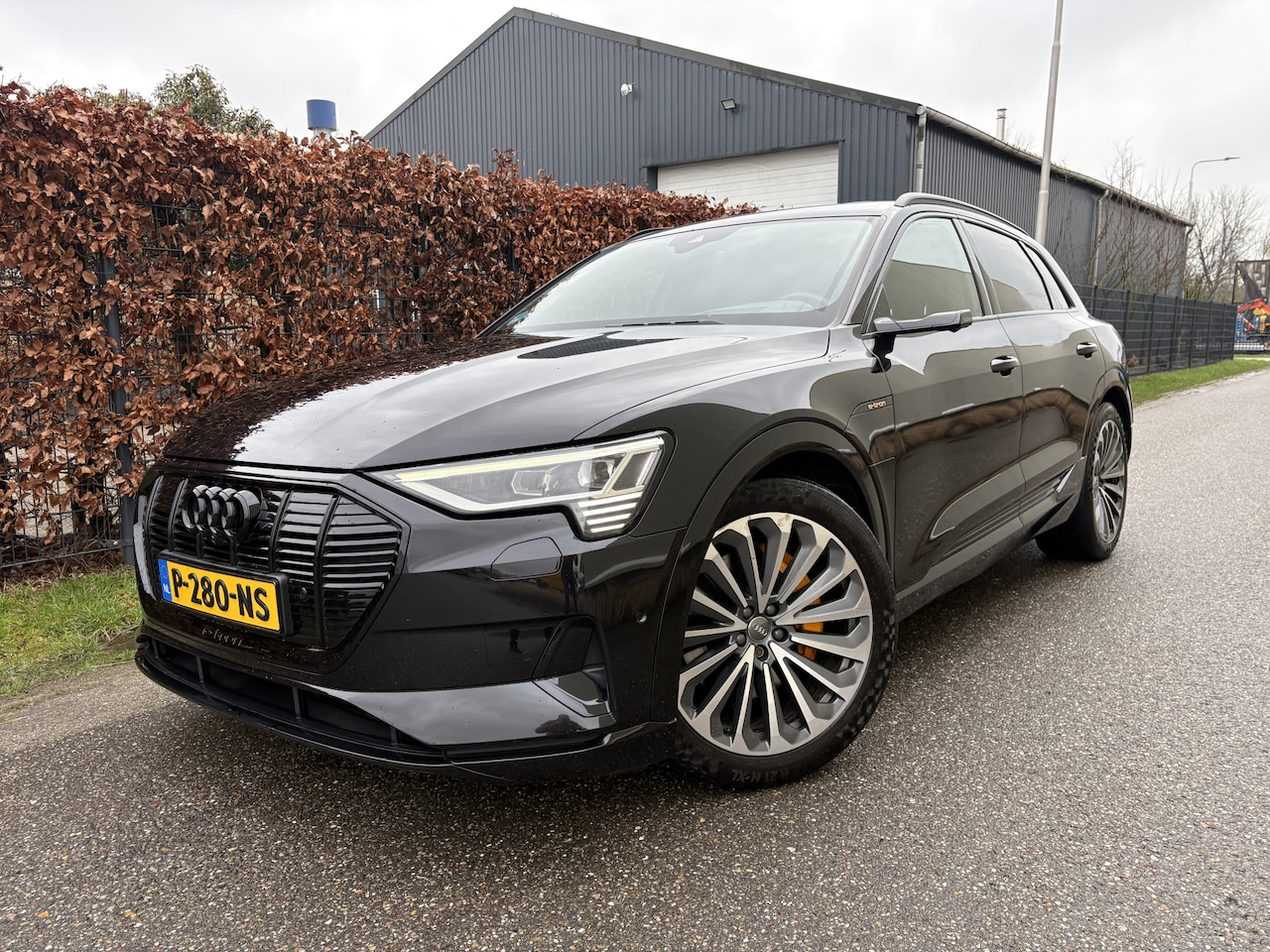 Audi e-tron - e-tron 55 quattro advanced Pro Line Plus 95 kWh / VOL OPTIES / INCL BTW - AutoWereld.nl