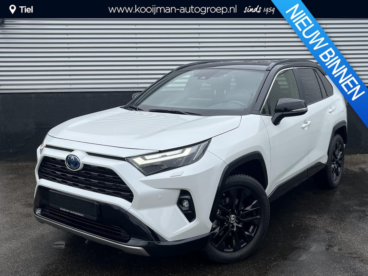 Toyota RAV4 - Bi-tone Navigatie, Stuurwiel- & Stoelverwarming, LED, PDC, LMV, Elek. bestuurdersstoel, Le - AutoWereld.nl