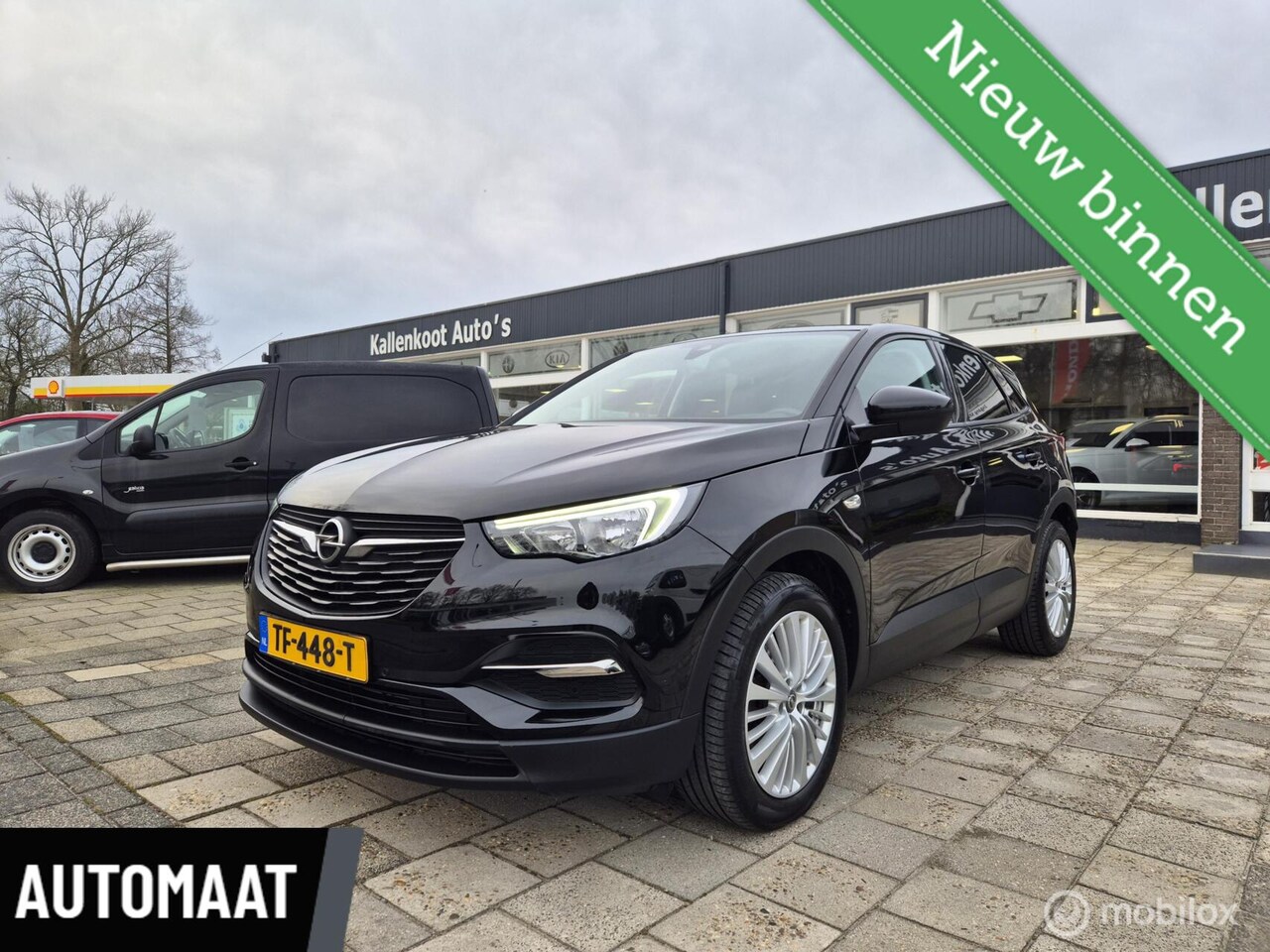Opel Grandland X - 1.2 Turbo Online Edition 1.2 Turbo Online Edition, D-Riem vervangen! - AutoWereld.nl