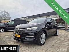 Opel Grandland X - 1.2 Turbo Online Edition, D-Riem vervangen