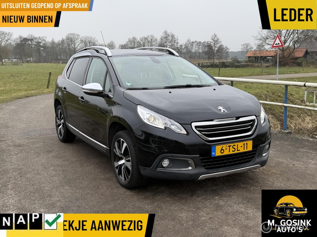 Peugeot 2008 - 1.6 VTi Féline 1.6 VTi Féline - AutoWereld.nl
