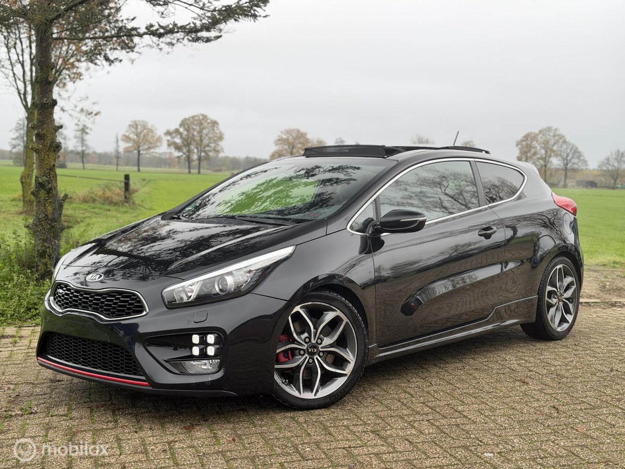 Kia Pro cee'd - 1.6 T-GDi GT 1.6 T-GDi GT - AutoWereld.nl
